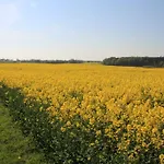 Ferienwohnung Zimmert Zimmert