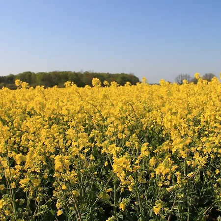 Ferienwohnung Zimmert