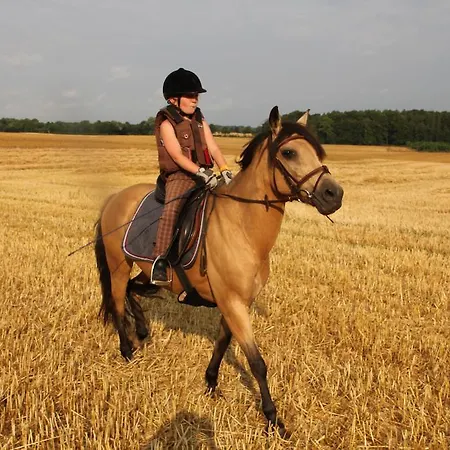 דירה Ferienwohnung Zimmert *