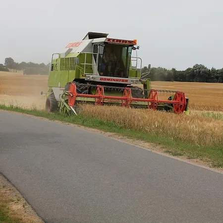 Ferienwohnung Zimmert Zimmert