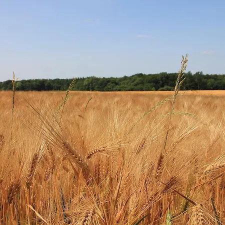 Ferienwohnung Zimmert