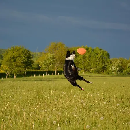 Ferienwohnung Zimmert Zimmert