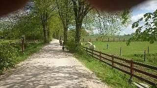 דירה Ferienwohnung Zimmert