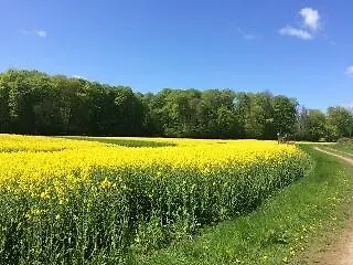 דירה Ferienwohnung Zimmert *