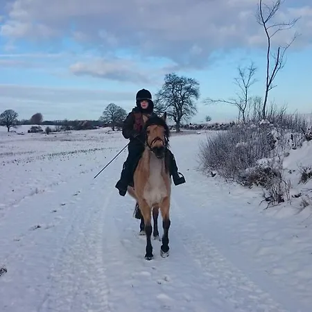 Ferienwohnung Zimmert