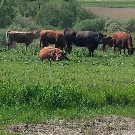 דירה Ferienwohnung Zimmert *