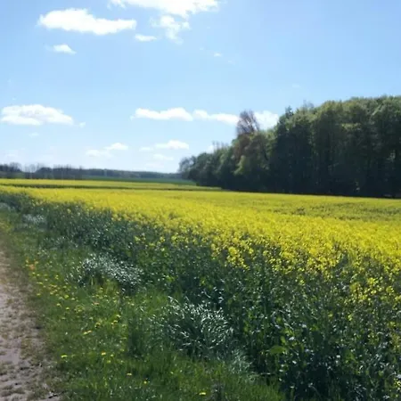 Ferienwohnung Zimmert Zimmert