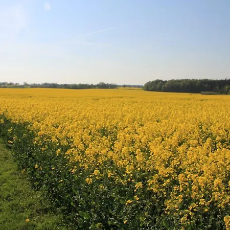 Ferienwohnung Zimmert Zimmert