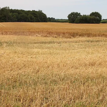 דירה Ferienwohnung Zimmert *