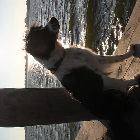 Ferienwohnung Zimmert