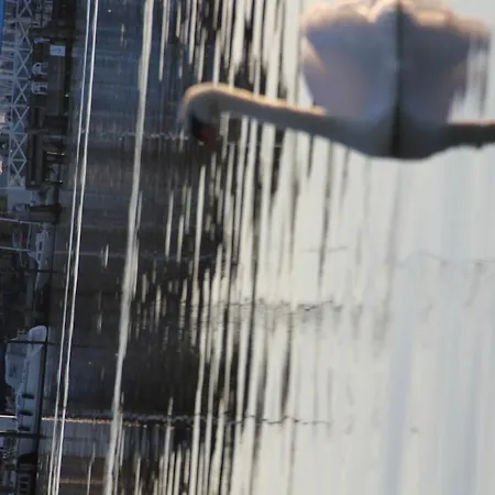 דירה Ferienwohnung Zimmert