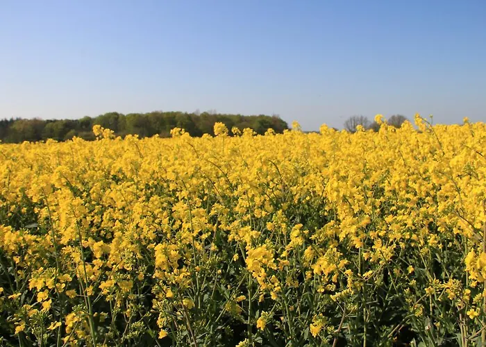 Ferienwohnung Zimmert