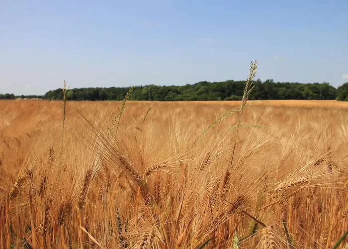 Ferienwohnung Zimmert