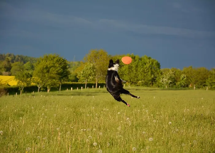 Ferienwohnung Zimmert Zimmert