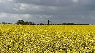 Appartement Ferienwohnung Zimmert *