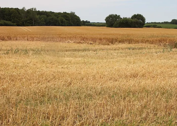 Appartement Ferienwohnung Zimmert *